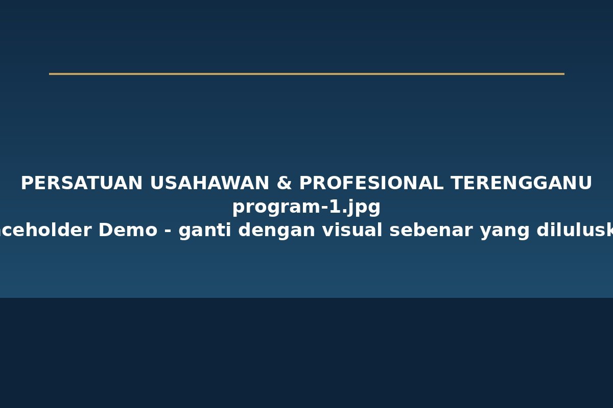 Program demo Business Networking Session